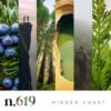 Version 1.0.0 Noteworthy n,619 Hidden Coast Eau De Parfum – Juniper, Geranium, Suede