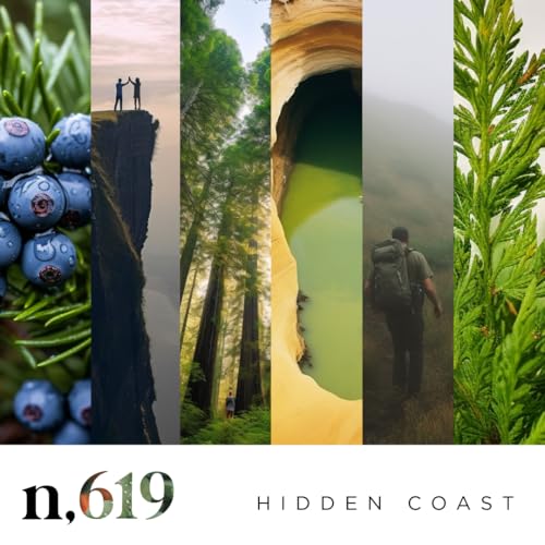 Version 1.0.0 Noteworthy n,619 Hidden Coast Eau De Parfum – Juniper, Geranium, Suede