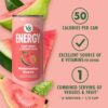 Version 1.0.0 V8 Energy Watermelon Guava Energy Drink, 8 fl oz Can (6 Pack) : Grocery & Gourmet Food